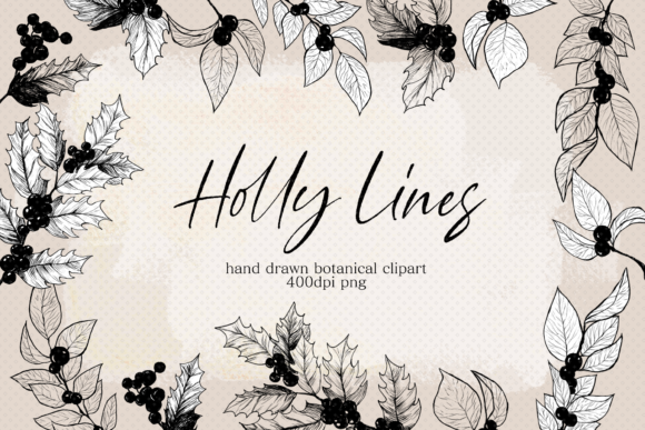 Vintage Holly Leaf Line Drawing Clipart: A Timeless Design Resource for Creative Projects